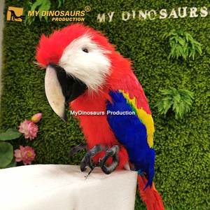 Papagaíos Grises Africanos Animatrónicos <span class=keywords><strong>de</strong></span> Tamaño Real para Parques <span class=keywords><strong>de</strong></span> Vida Silvestre, Centros Comerciales y Áreas Públicas, Uso Interior/Exterior - Product Image 6