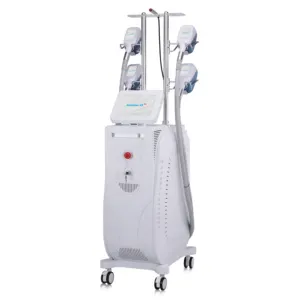 Vertical 4 Handles 360 Cryolipolysis Body Slimming Cryo machine For Weight Loss