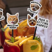Bâtonnets à cocktail personnalisés avec photo d'animal de compagnie, en acrylique transparent, pour mariage