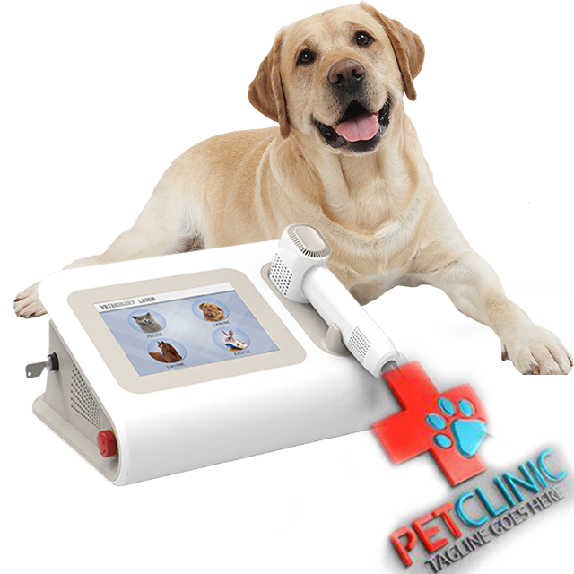 Class IV High Power Laser Veterinary Laser Therapy Equipment 980nm 30w Laser for Pain Relief Cats Dogs Horse
