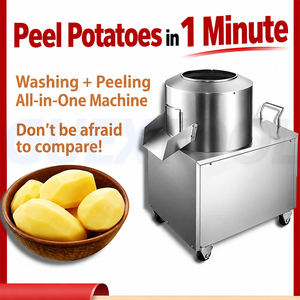 Petite Machine Automatique en Inox pour Laver et Éplucher Pommes de Terre et Taro, pour Restaurant et Cuisine - Product Image 4