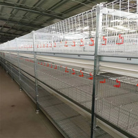 Meilleur prix cage de couveuse en acier de type H nouvel équipement automatique de volaille pour les éleveurs de poulets poulettes cailles maille couche batterie fermes