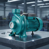 Pompe à eau propre LLASPA MHF-6AR avec turbine en laiton 3.0HP, haute pression, grand débit, auto-amorçante pour l'alimentation en eau potable, traitement OEM