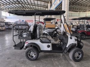 WELIFTRICH Voiturette de golf électrique tout-terrain 3-4 places, batterie lithium 60V, entièrement étanche, pour la chasse et le tourisme, 30-50 km/h, autonomie 90 km - Product Image 5