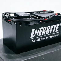 Batterie de traction Enerbyte 48V 206Ah CE ISO IP65 pour transpalette électrique et gerbeur - Exportation