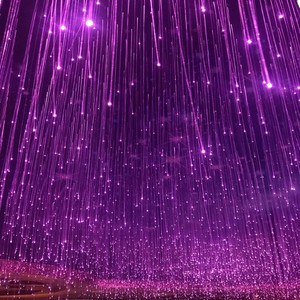 Internet Đỏ bầu trời đầy sao âm nhạc Thanh Nhà Hàng LED Đèn sợi quang đầy màu sắc hướng dẫn ánh sáng sợi quang với các tính năng thay đổi màu sắc - Product Image 5