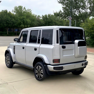 Oferta Especial: Coche Eléctrico de Baja Velocidad con Modo de Velocidad Ajustable de 60 km/h, Batería de Litio de 3000W, Color y Logotipo Personalizables, Sin Licencia de Conducir, para Personas Mayores, con Volante a la Izquierda - Product Image 1