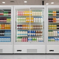 Vitrine Réfrigérée Verticale Commerciale de Haute Qualité à Température Unique avec Porte Coulissante en Verre, Refroidissement par Air et Contrôle Numérique