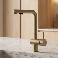 Robinet de cuisine couleur or champagne, mitigeur de luxe à poignée unique avec douchette extractible pour évier de cuisine moderne