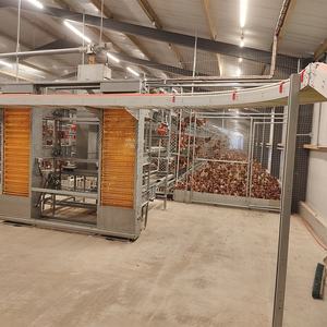 Kaleter Bienestar Animal, Gallinero Libre de Jaulas, Granja Avícola de Gallinas Ponedoras, Nido con Recolección Automática de Huevos - Product Image 6