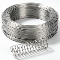 Ressorts en fil d'acier inoxydable 304 316, résistance uniforme à la traction, finition de surface 2B, norme ASTM/AISI/GB, anti-corrosion