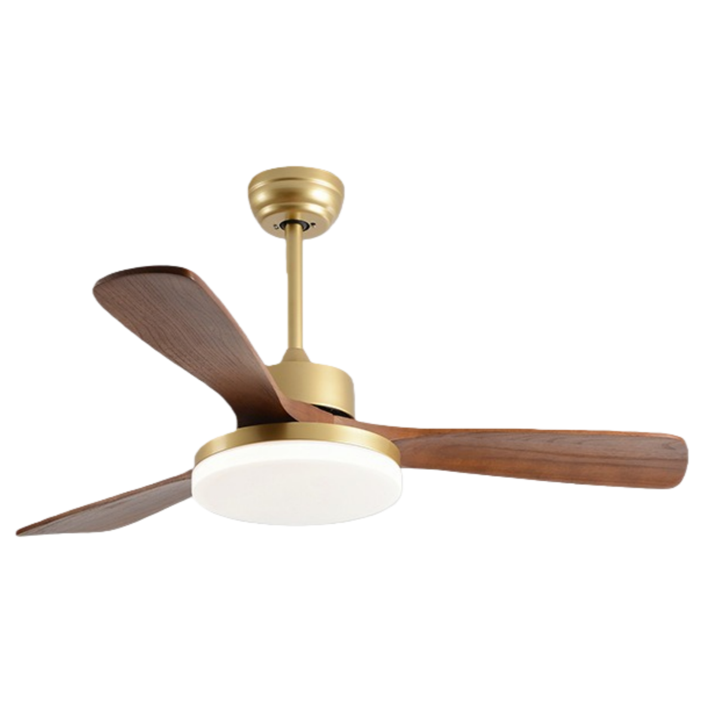 วอลนัทสีบรอนซ์