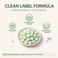 Tablet Permen Kopi Barley Mint Label Pribadi, Tablet Penyegar Energi Xylitol Bebas Gula, Tanpa Pewarna Buatan, Tanpa Perisa Buatan