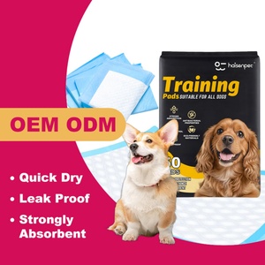 Tapis absorbants pour chien très résistants, anti-fuites, avec noyau en polymère à absorption rapide, jetables, pour l'apprentissage de la propreté des chiots et des grands chiens - Product Image 1