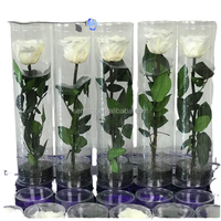 Rose éternelle préservée à tige unique de 30 cm, fleur au toucher réel, pour la Saint-Valentin, Noël, la remise des diplômes, bouquet cadeau