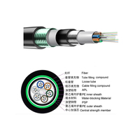 GYTA53 CABLE Doble escudo armadura de acero 4 6 8 12 16 24 32 36 48 72 96 144 de 192 a 216 núcleo de modo único CABLE de fibra óptica