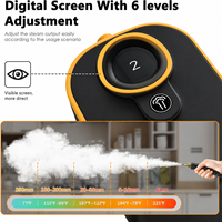 Nettoyeur Vapeur Haute Performance pour Maison, Fenêtres, Cuisinières, Fours, Porcelaine, Briques, Interstices de Fenêtres, Climatiseurs, Réfrigérateurs (OEM)
