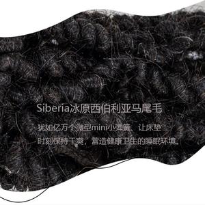 Siberia Horsehair Mattress With Independent Springs For Hotel <b>Bed</b> Support - Product Image 1