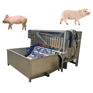 Venda quente abate equipamento depilador porco