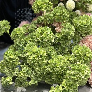 Hortensia simulada verde oscuro de Venta caliente Hortensia de tacto real 3D única floral artificial para arreglo floral - Product Image 1