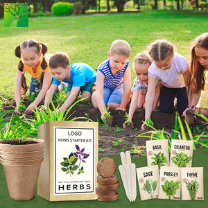 Venta al por mayor Cultive su propia albahaca Cilantro Perejil Salvia Tomillo <span class=keywords><strong>2022</strong></span> Kit de crecimiento completo Juego de cultivo de plantas - Product Image 5
