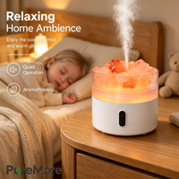 Diffuseur d'huiles essentielles ultrasonique blanc basique 220 ml, humidificateur à lumière chaude, brume froide, aromathérapie, silencieux pour la maison et la chambre