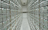 Usine de culture en conteneurs entièrement automatisée Seedafarm, système de contrôle environnemental intelligent, taille personnalisable, garantie 1 an
