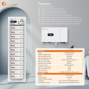 Felicitysolar 25kw 29.9kw 30kw 40kw 50kw Onduleur Solaire Hybride Haute Tension Felicitysolar 12 Unités en Parallèle IP65 - Product Image 2