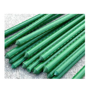 Vente en gros de piquets en acier revêtus de plastique pour plantes grimpantes, piquets en métal pour plantes - Product Image 3