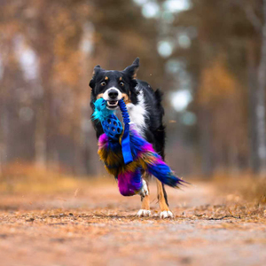 Özel Bungee gerçek hayvan kürk tavşan kürk köpek peluş oyuncak açık interaktif çekme römorkör yüksek kalite peluş Pet köpek çiğneme oyuncakları - Product Image 1