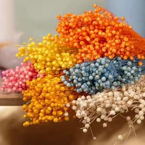 Оптовый букет из сухоцветов Huahuan: разноцветные бобы акации, бобы «счастье» — комплексное решение для декора дома и свадеб - Product Image 2