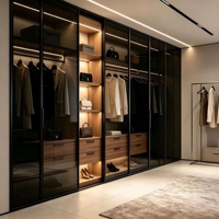Armoire de rangement ouverte sur mesure, moderne et luxueuse, avec portes coulissantes en verre trempé et accessoires de rangement pour villa