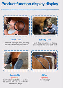 Pemf Loop Pulser Magnético Físico Terapia Pemf Morcego Opcional Loop Cavalo Tratamento Pemf Terapia Magnética Dispositivo - Product Image 6