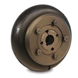 Acoplamiento de Eje Flexible Fenaflex, Diámetro Interior de 10 mm, Torque de 2000 Nm, 5000 RPM, Acero Anodizado - Product Image 1