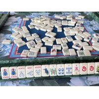 Tuiles de Mahjong américaines blanches ivoire, ensemble de Mahjong en acrylique avec motifs personnalisés de scarabées et de fleurs