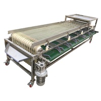 Beste Automatische Groente-en Sorteermachine Data Jujube Datum Palm Sorteren Machine
