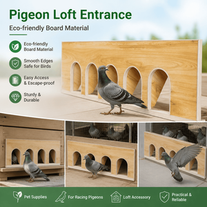 Porte d'entrée en bois écologique anti-évasion pour pigeonnier, trappe pour pigeons de course européens, porte d'accès multi-tailles pour cage à oiseaux toutes saisons - Product Image 1