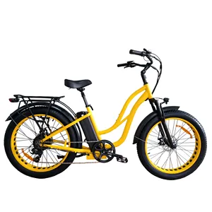 QUEENE/ 26*4.0 fat tyre 48V250W 500W 750W 1000W low step thru city commut e bike electric bicycle