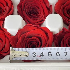 Têtes de fleurs de rose naturelles préservées, écologiques, vertes, fraîches, 4-5 cm, longue durée, pour la fête des mères, la Saint-Valentin - Product Image 3