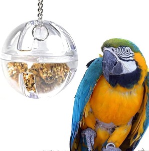 Interactieve voerbal voor papegaaien, klein vogelspeelgoed, accessoires - Product Image 2