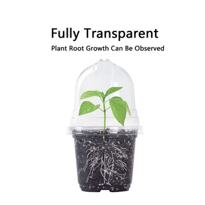 3,5 "4" 5 "6" 7,6 "Zoll PET Garten pflanze Transparente Töpfe Gartens amen becher Kindergarten töpfe mit Feuchtigkeit kuppeln - Product Image 5