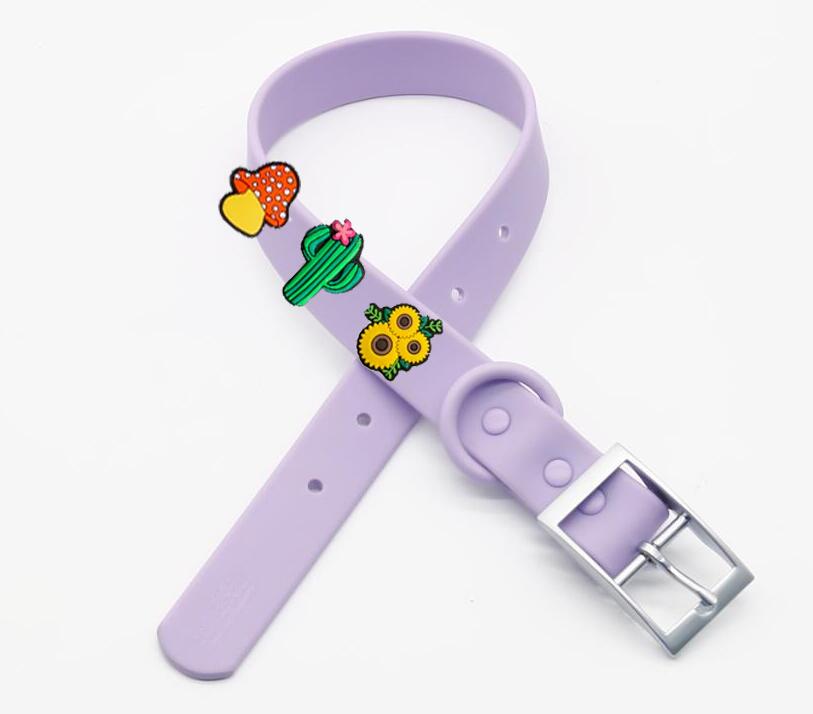 Viola
