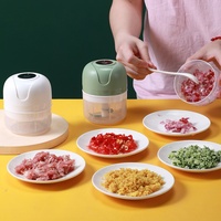 2023 meilleure vente Mini robot culinaire hachoir à légumes hachoir à ail électrique multifonction Commercial Portable pour les aliments pour bébés