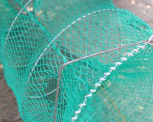 Jaula de Pesca Plegable de 30cm <span class=keywords><strong>X</strong></span> 60cm, Red para Cangrejos con Orificio de Escape para Aguas Profundas - Product Image 5