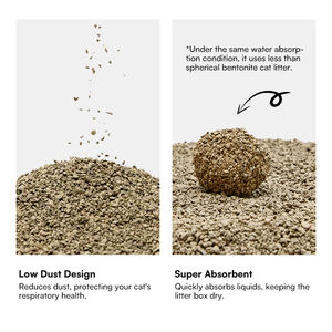 Fournisseur Vente en gros Bentonite brisée Litière pour <span class=keywords><strong>chat</strong></span> 10L Bentonite de sodium agglutinante Vente en gros Sable avec ajout de charbon actif <span class=keywords><strong>anti</strong></span>-<span class=keywords><strong>odeur</strong></span> - Product Image 3