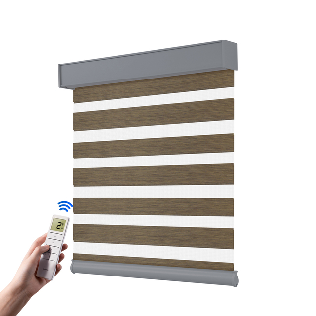 Hot Selling Smart Zebra Blinds Modern Design Remote Control Motorized Automatic Window Roller Shades Electric Built-in