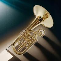 30/5000 Factory Custom Wholesale Melofonos Gold Lacquer Musical Instruments Exquisite Packaging Case Spot Delivery Brass F Tone