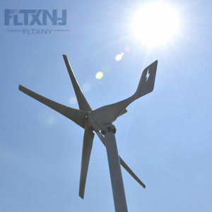 พัดลมกังหันลมแบบแนวนอนขนาดเล็ก 12/24/48v สำหรับใช้ในบ้าน 1000w 500w Fz 1kwwind Po Fz 1kwwind Fz จากคลังสินค้ายุโรป - Product Image 6