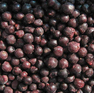 Buen Precio IQF Grosella Negra Alta Calidad IQF Grosella Negra Congelada Orgánica Grosella Negra Congelada - Product Image 6