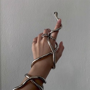 Collana a Serpente Personalizzata in Lega, Stile Minimalista INS, Design di Nicchia Audace e Sombrio, Gioielli Chunky per Donna e Uomo, Choker - Product Image 3
